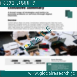 グローバルリサーチ調査レポートのイメージ